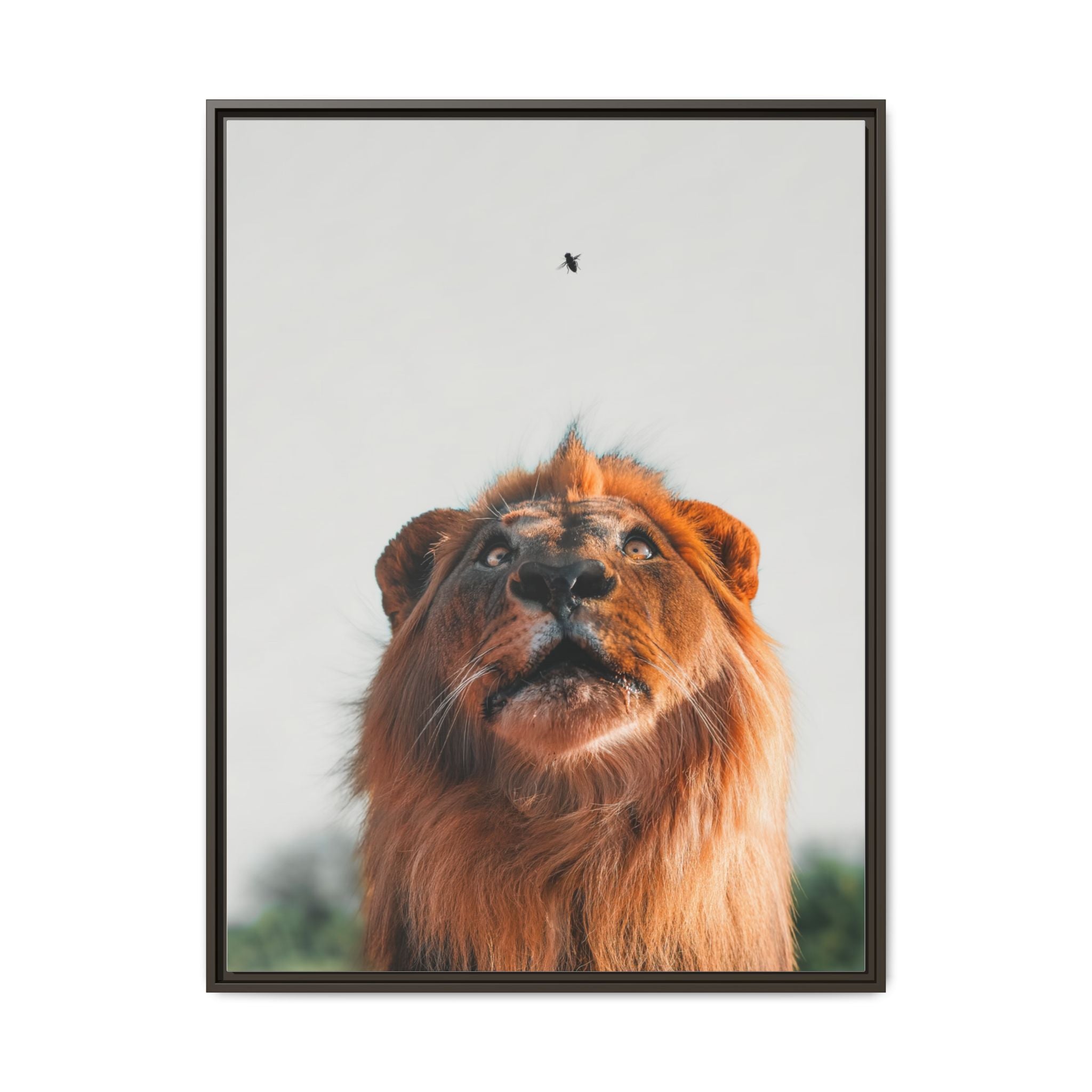 The pause  - Canvas