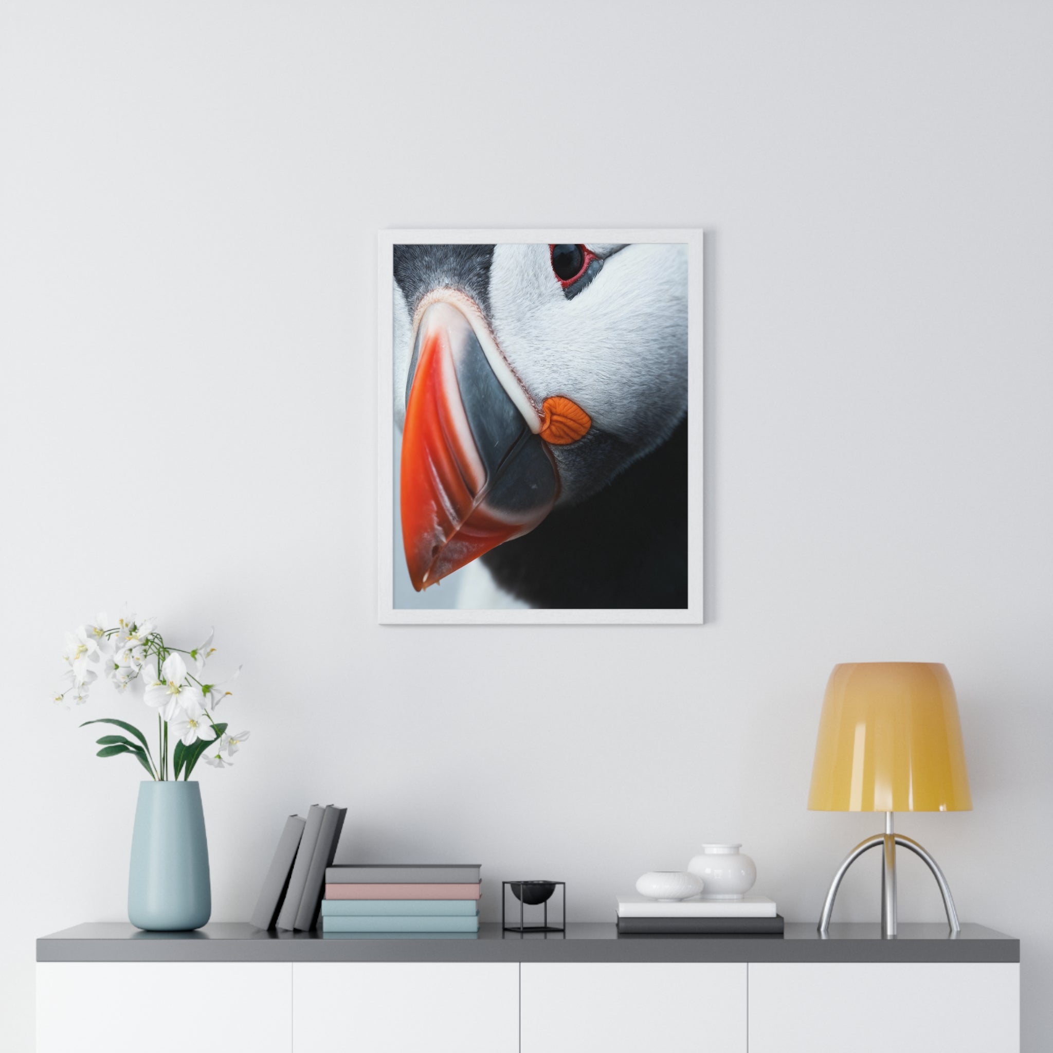 Atlantic Puffin - Frame