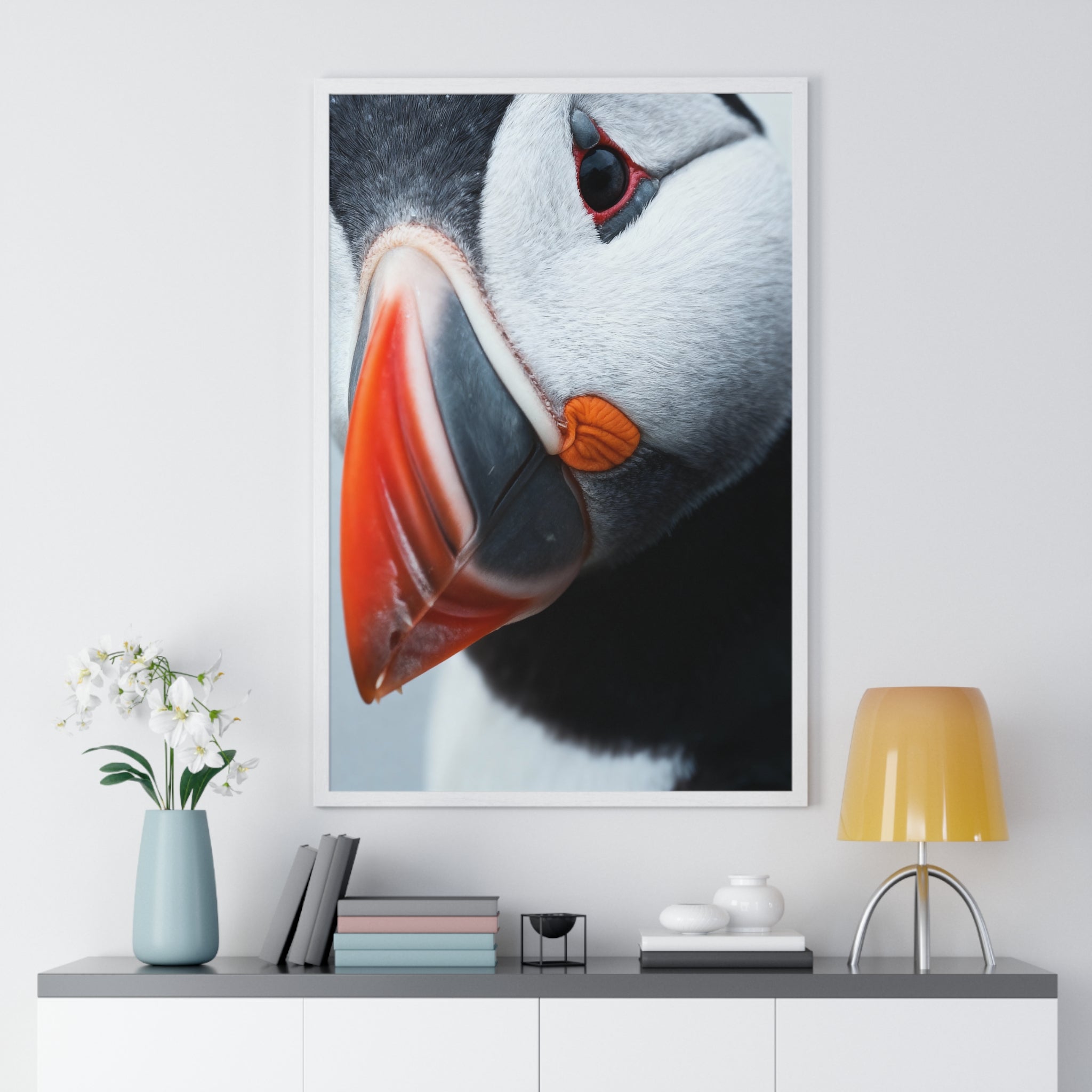 Atlantic Puffin - Frame