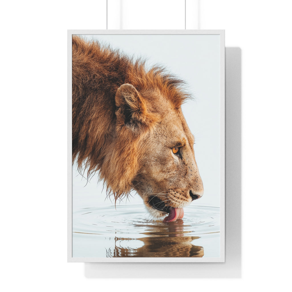 The King - Frame