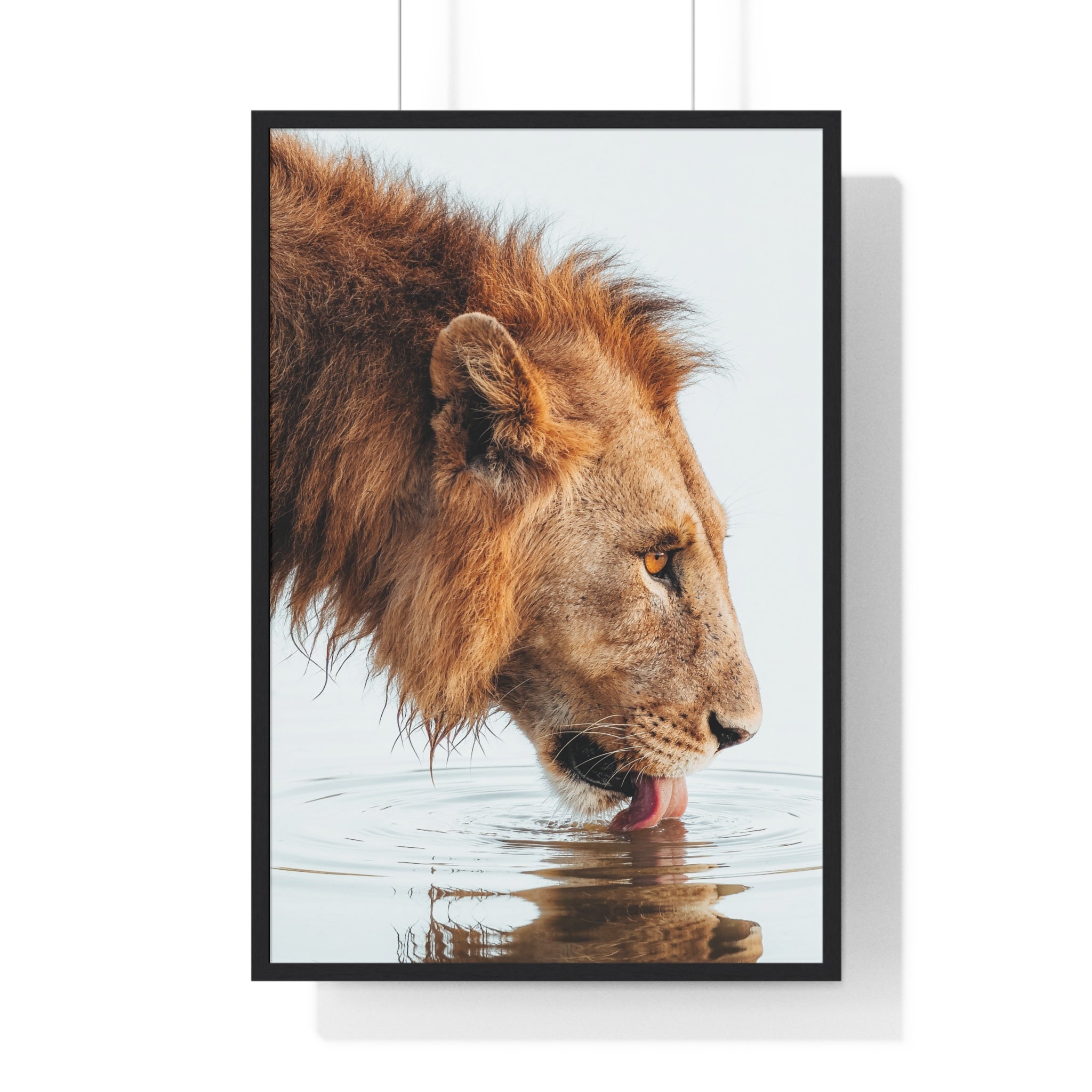 The King - Frame