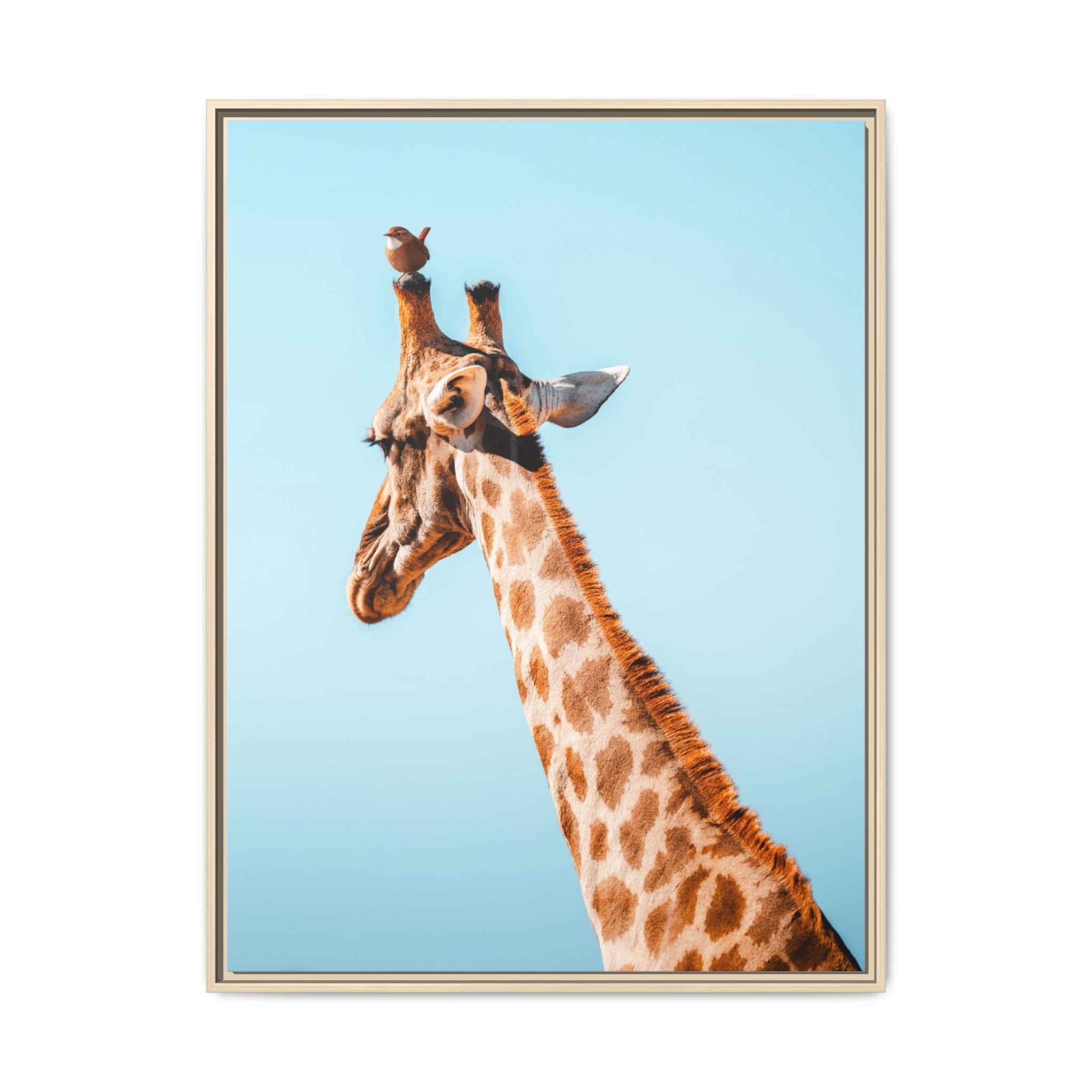 The Lift - Canvas