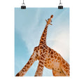 Reaching for the sky - Poster