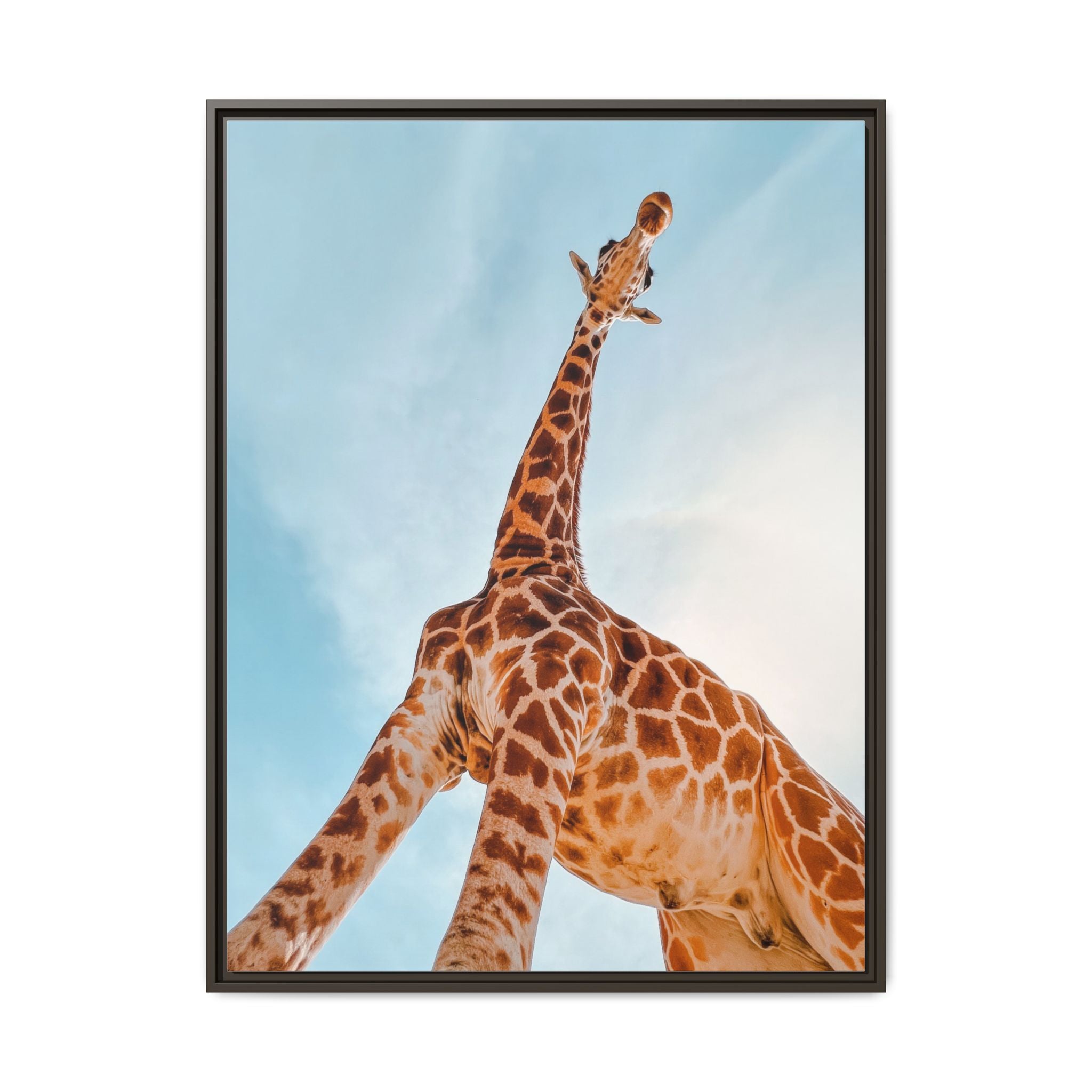 Reaching for the sky  - Canvas