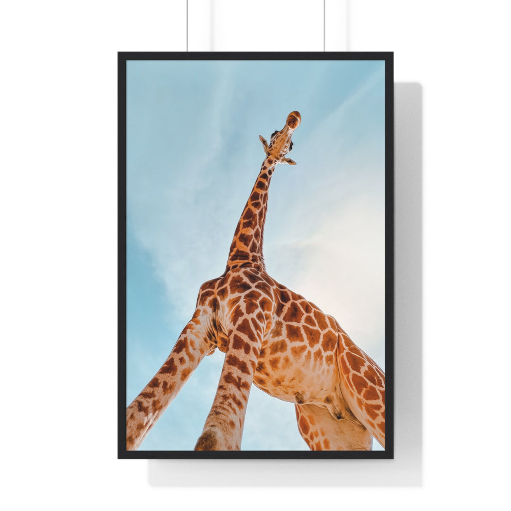 Reaching for the sky - Frame
