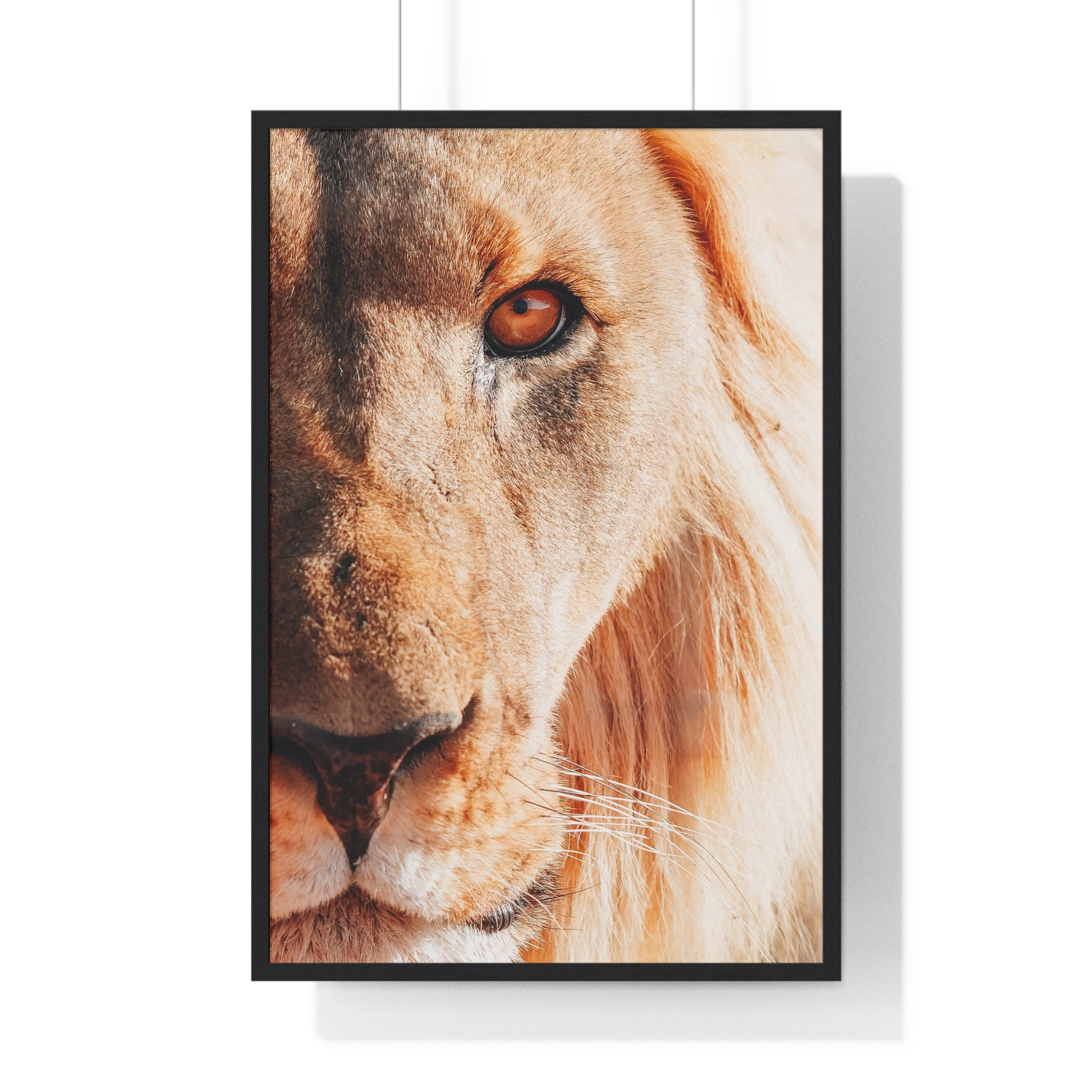 The King - Frame