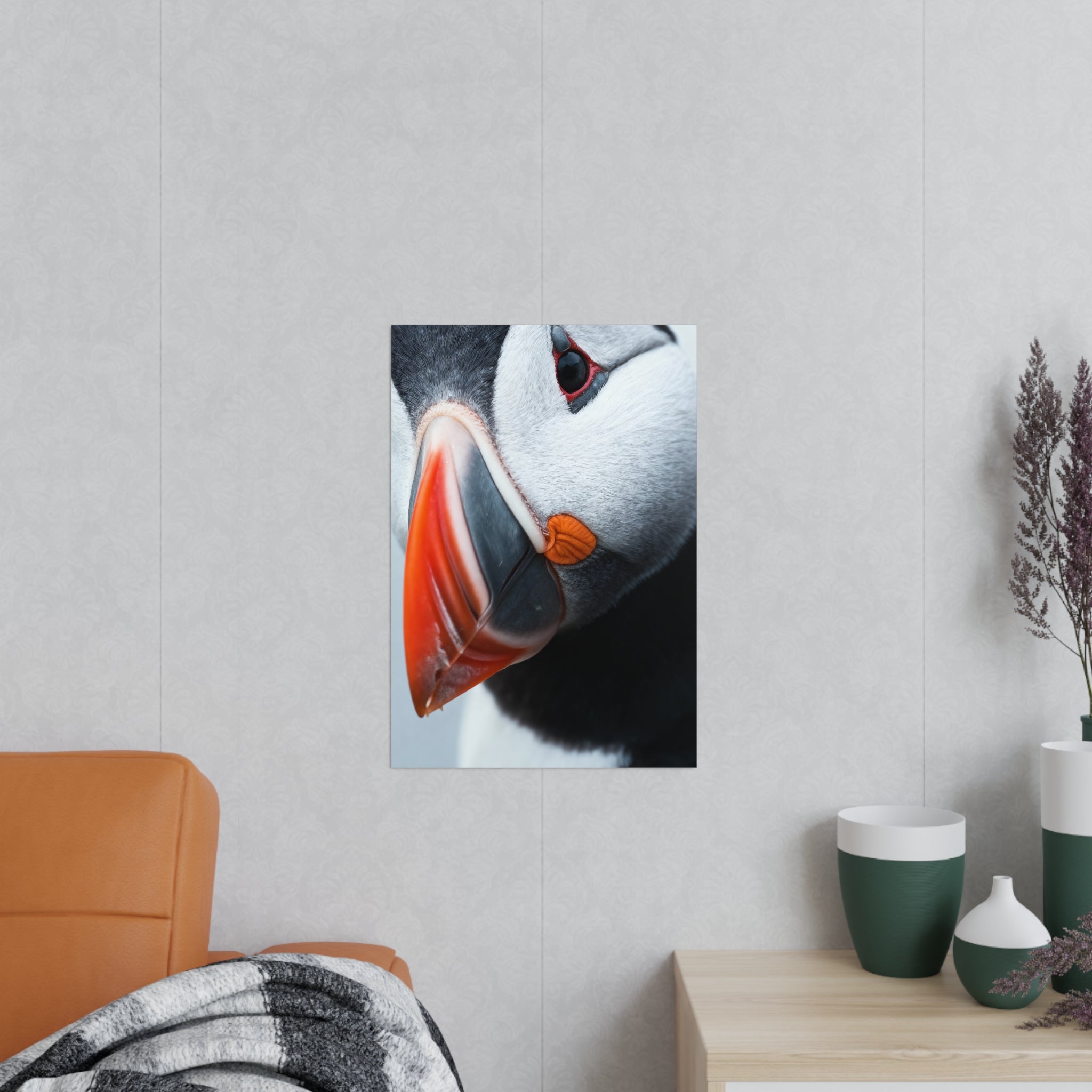 Atlantic puffin - Poster
