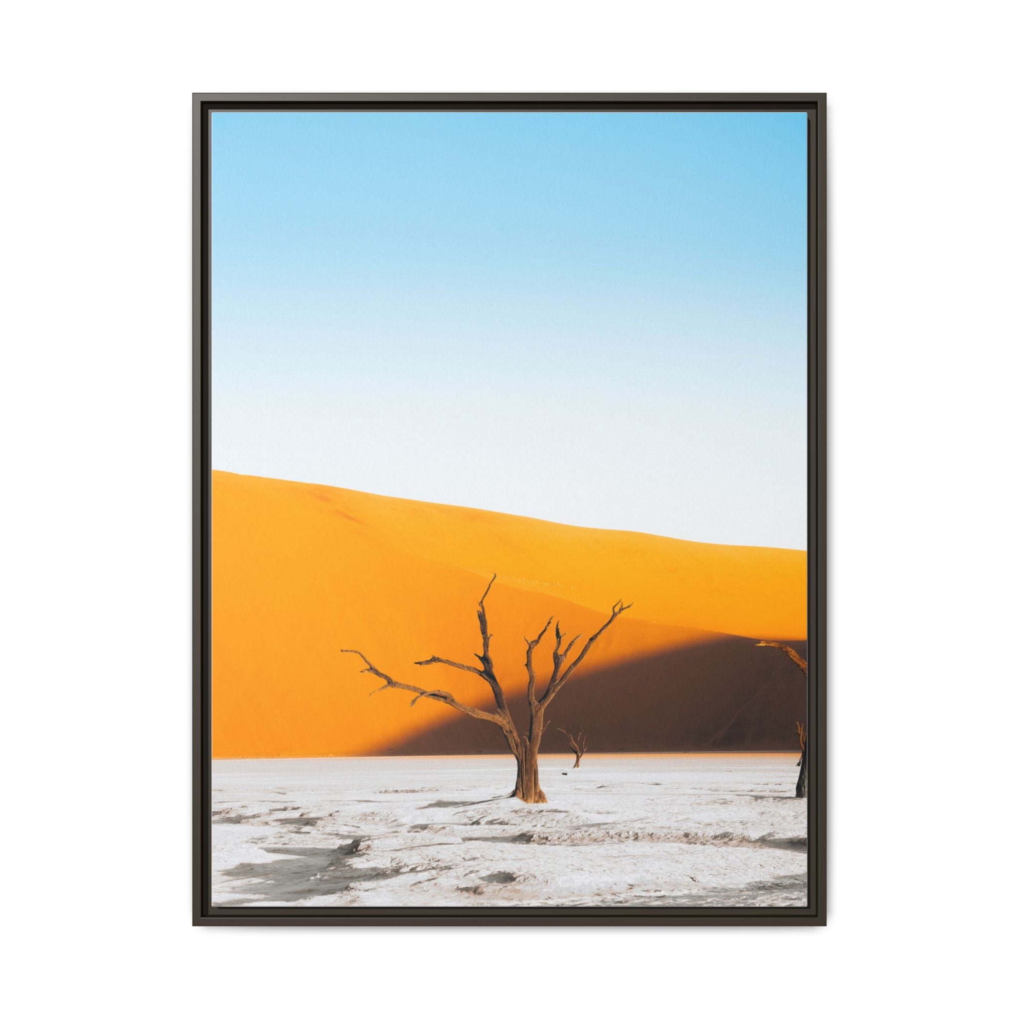Dedvlei - Canvas
