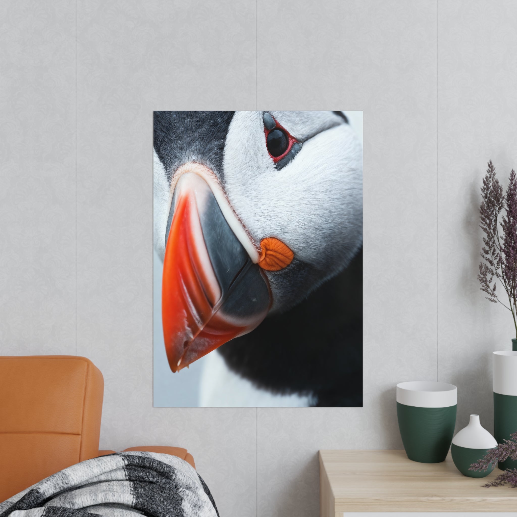 Atlantic puffin - Poster