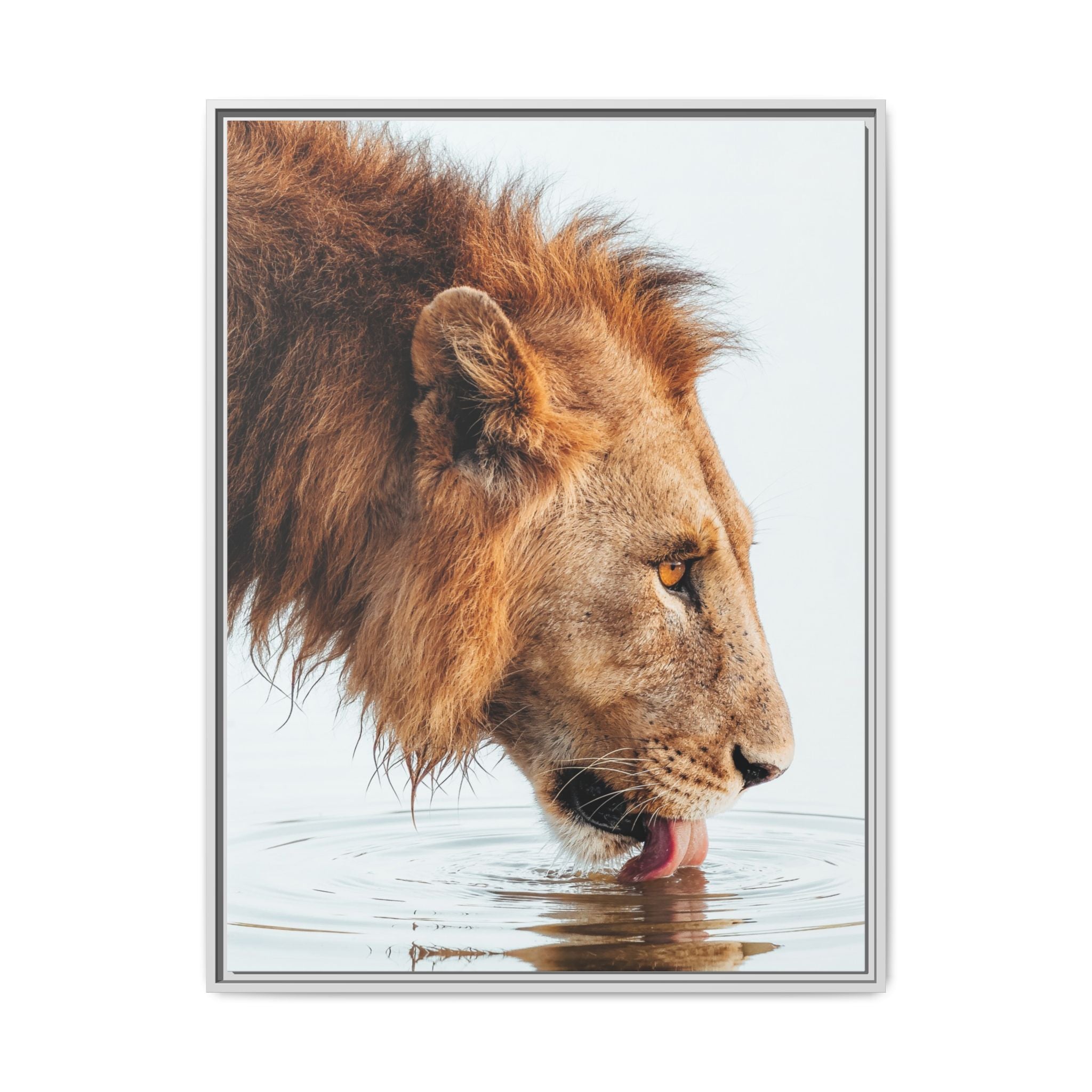 The King - Canvas