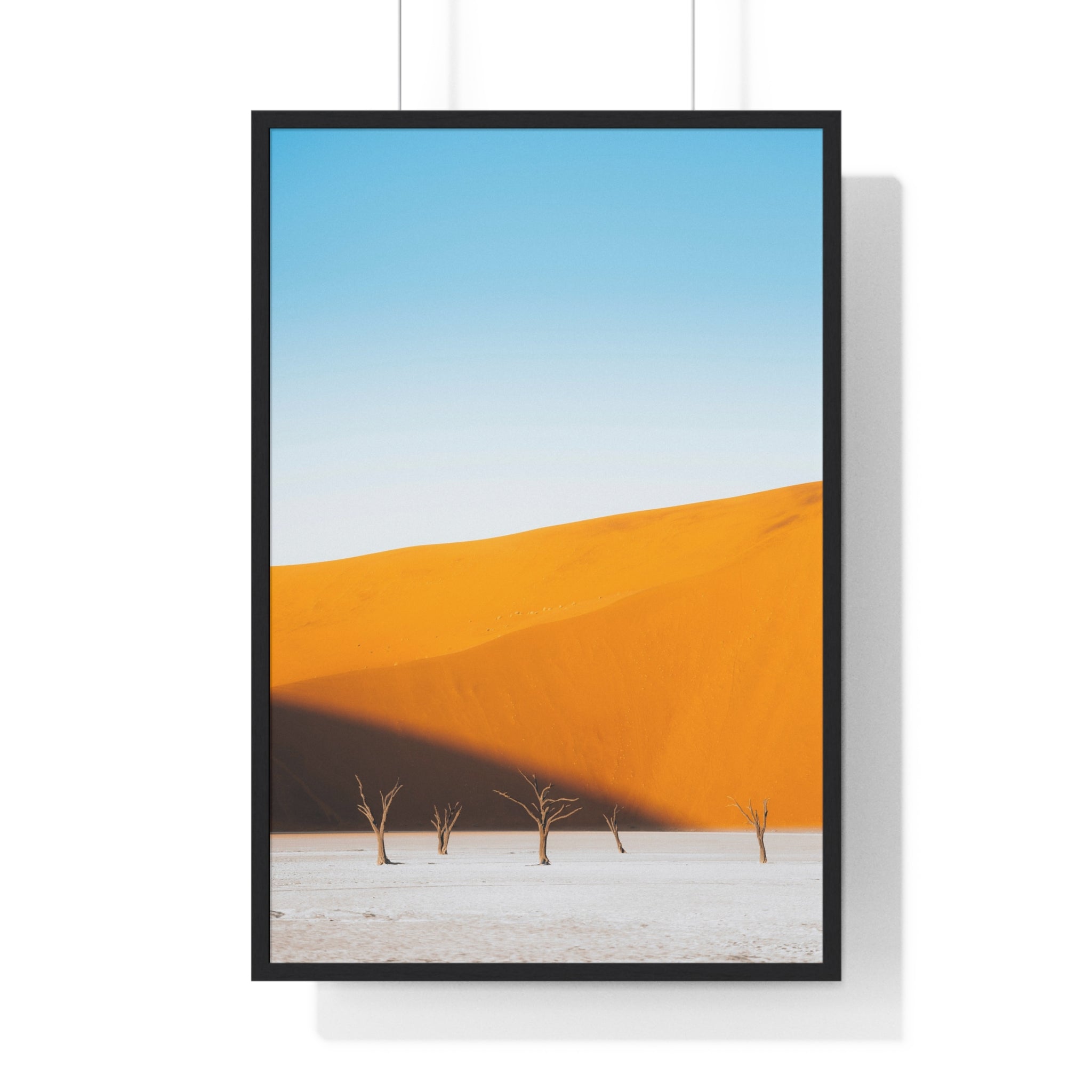 Dedvlei 2 - Frame
