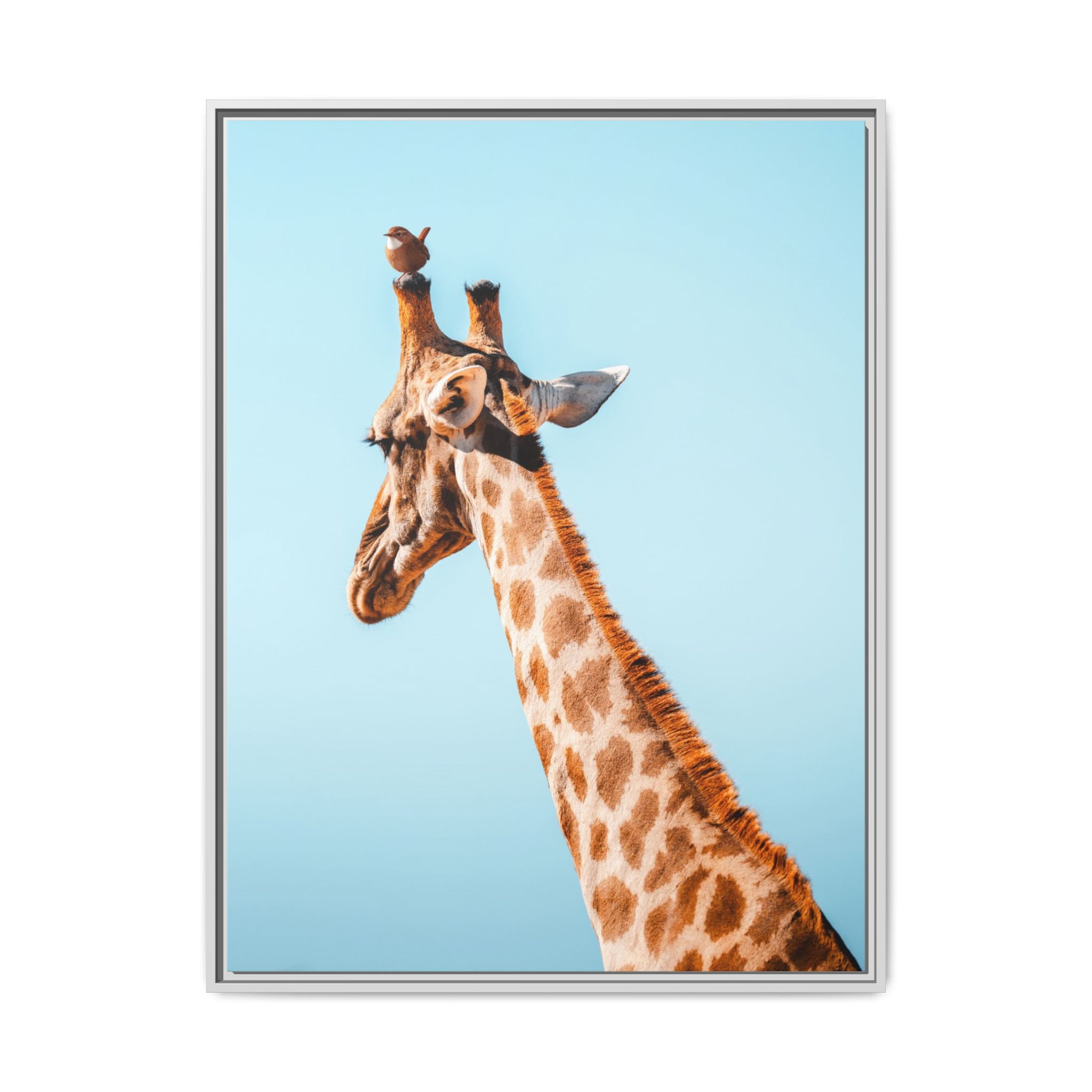 The Lift - Canvas