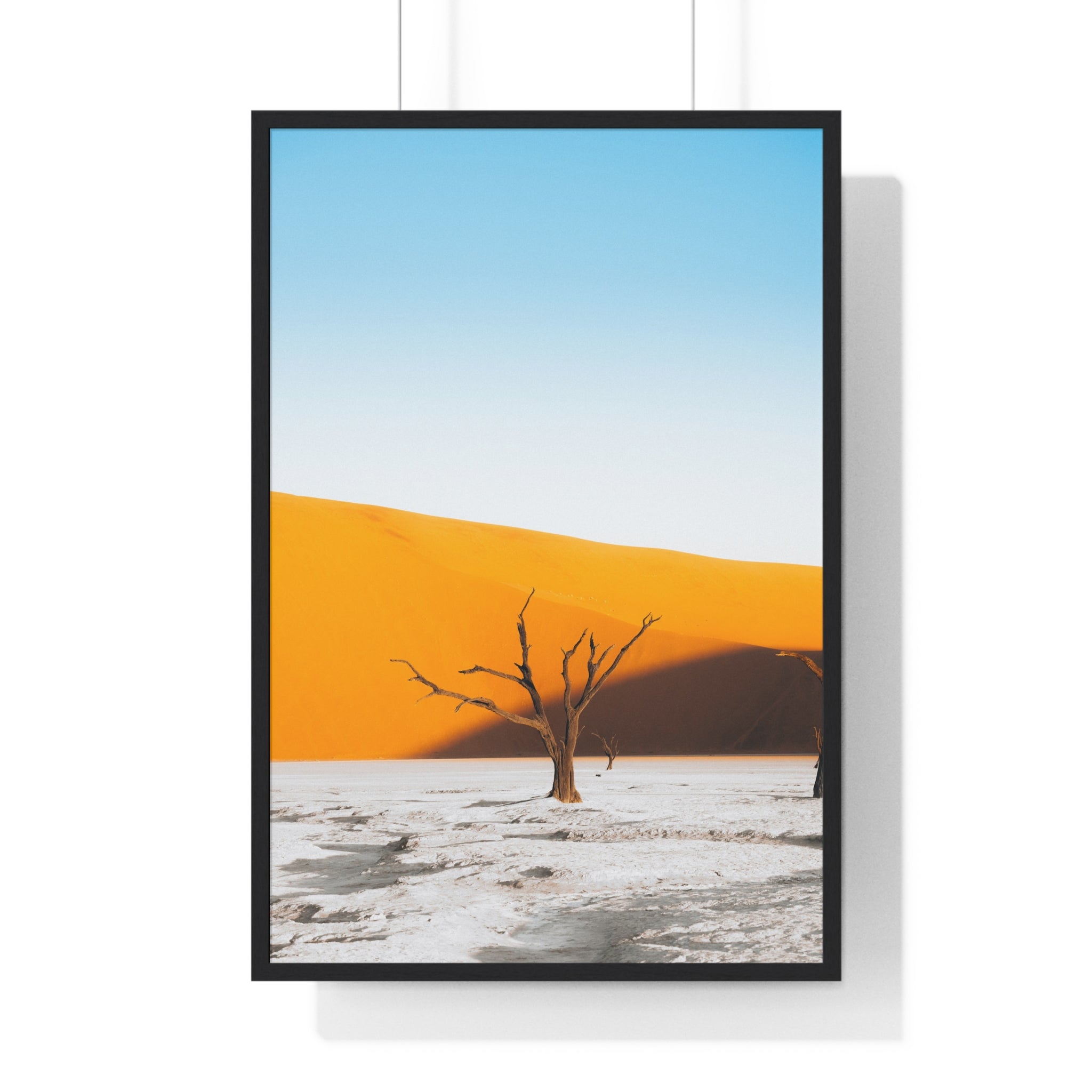 Dedvlei 1- Frame