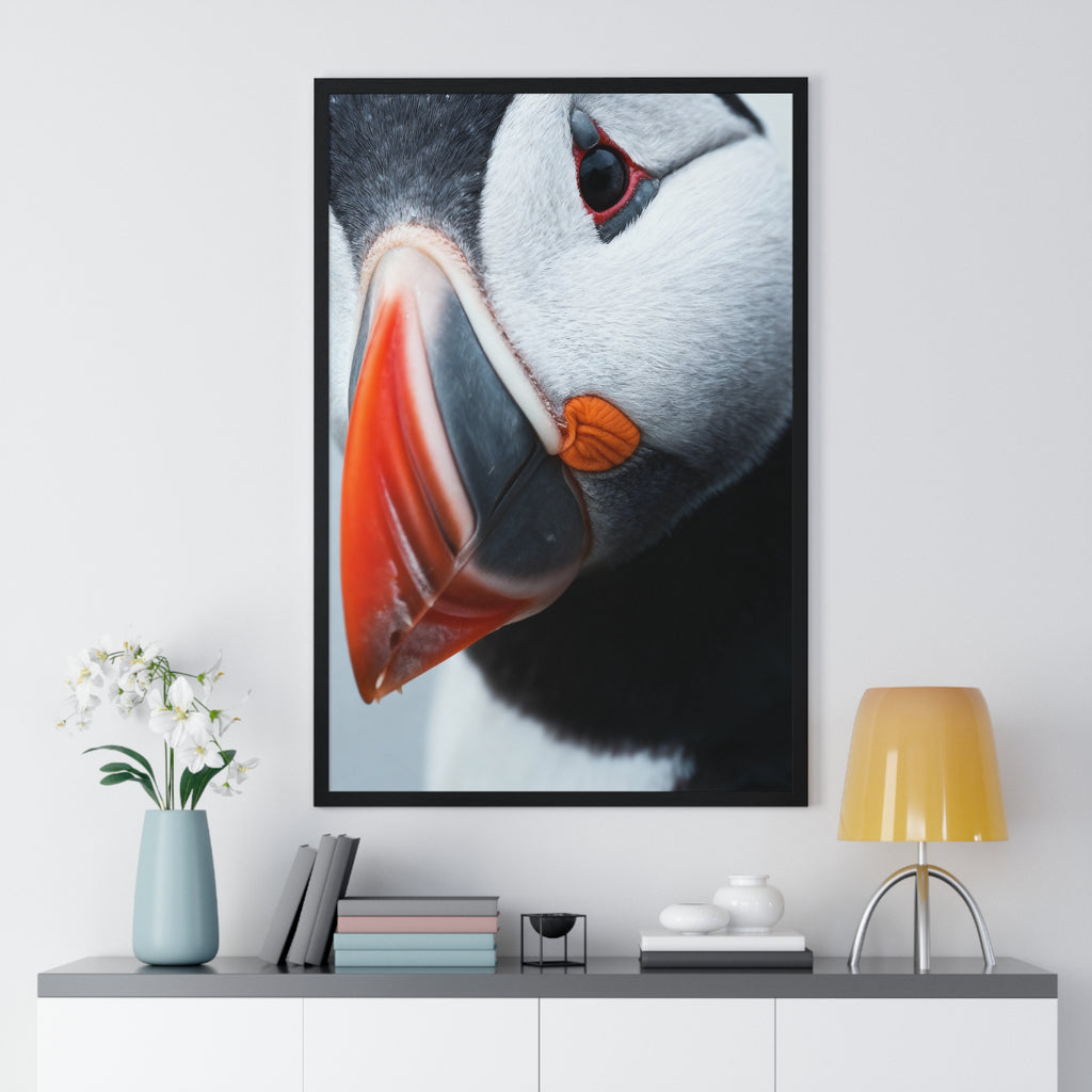 Atlantic Puffin - Frame