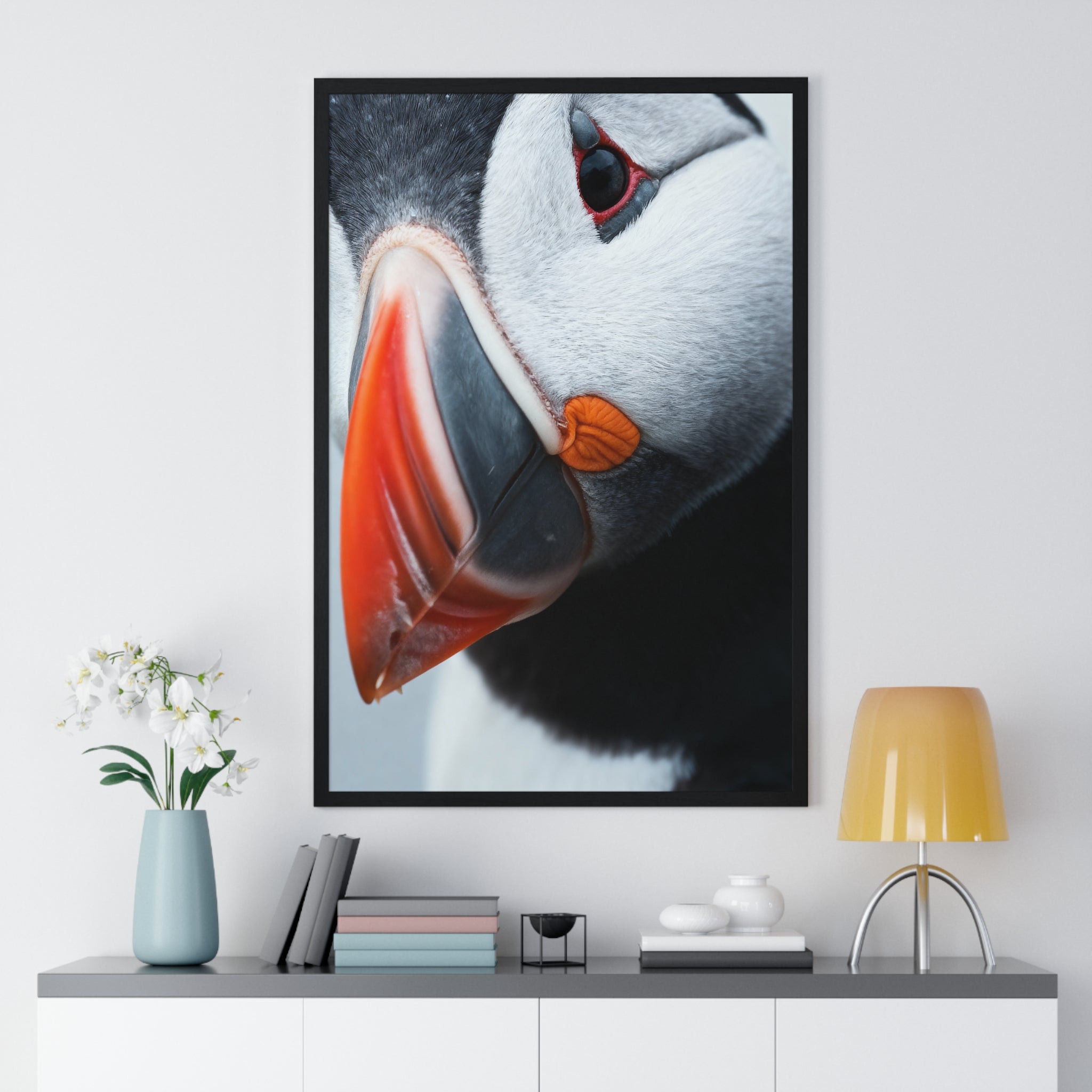 Atlantic Puffin - Frame