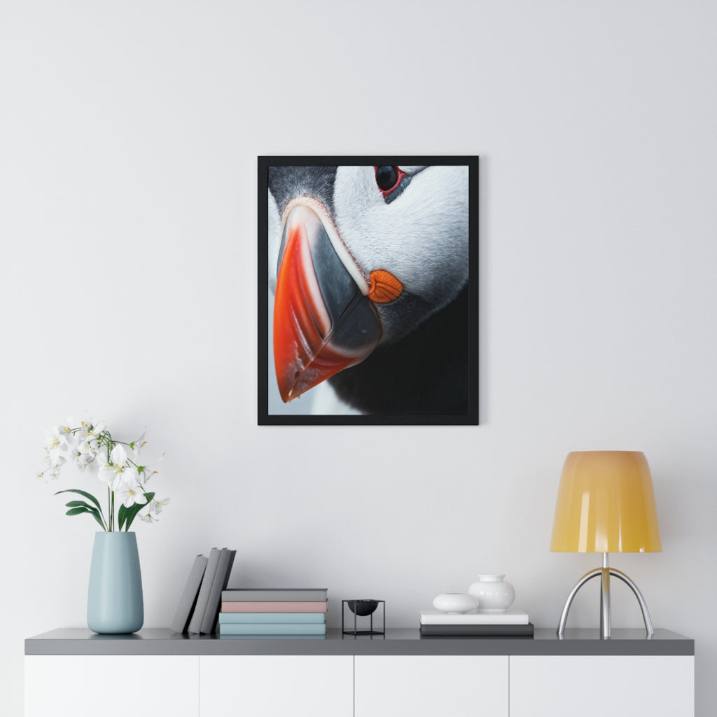 Atlantic Puffin - Frame