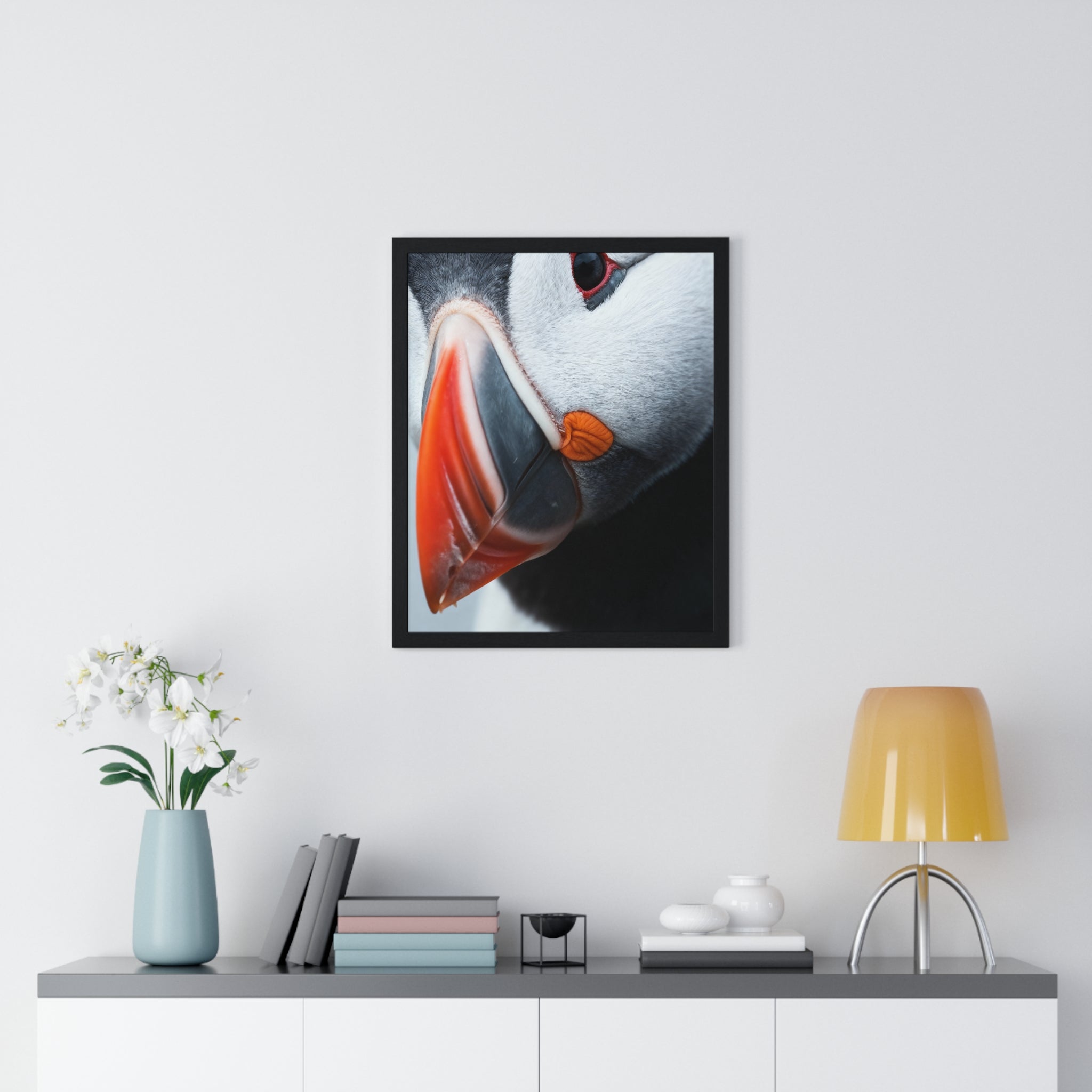 Atlantic Puffin - Frame