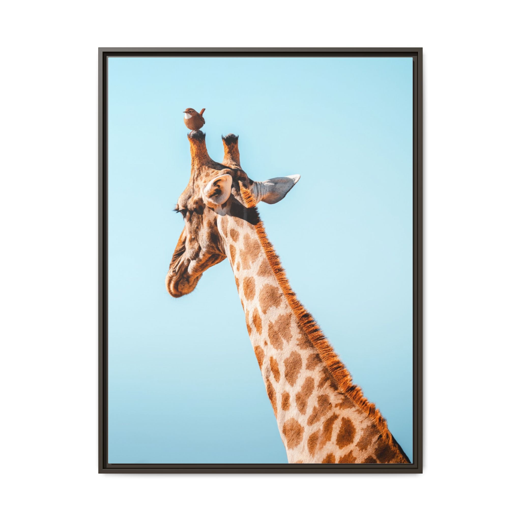 The Lift - Canvas