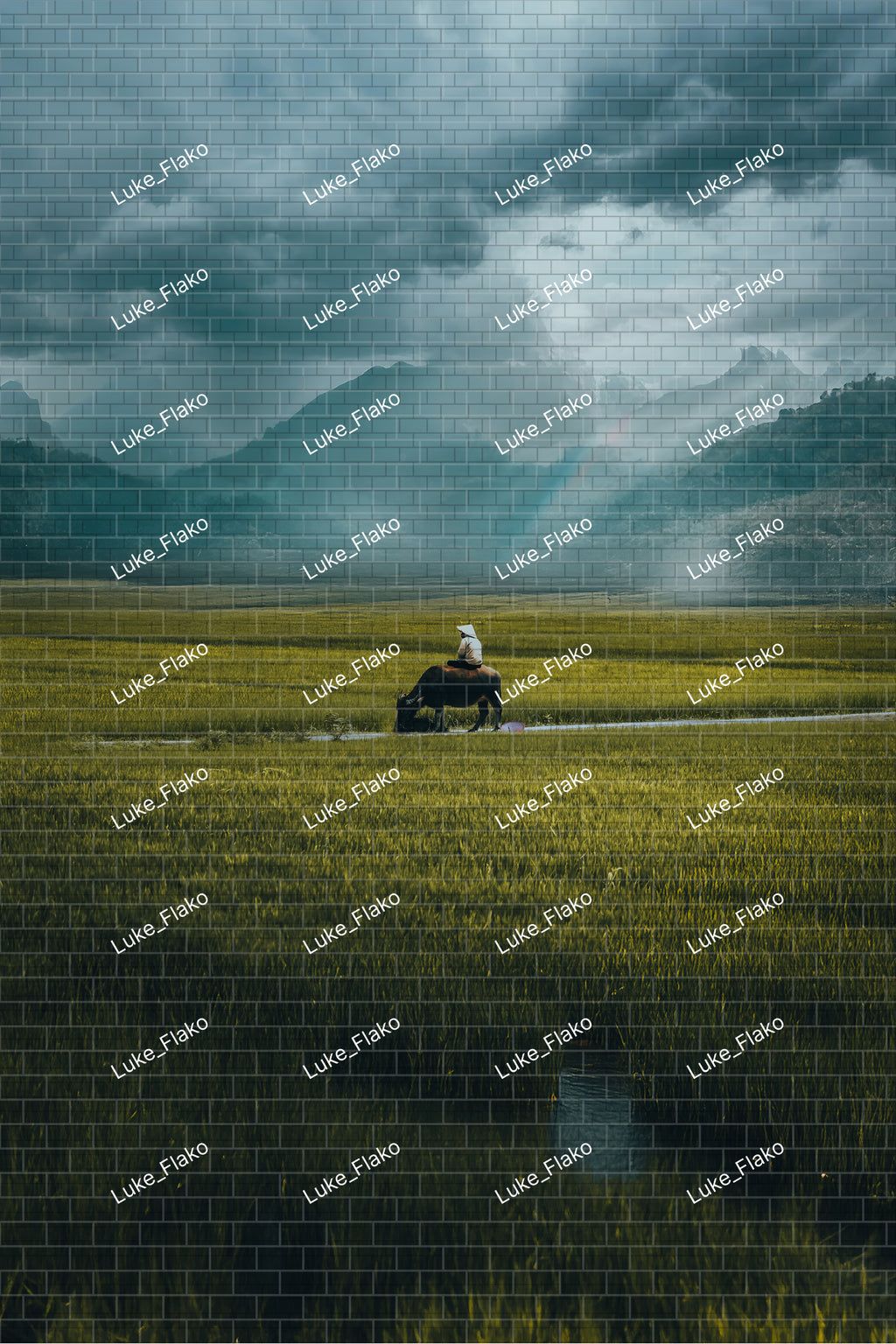 The Quiet Path - Frame