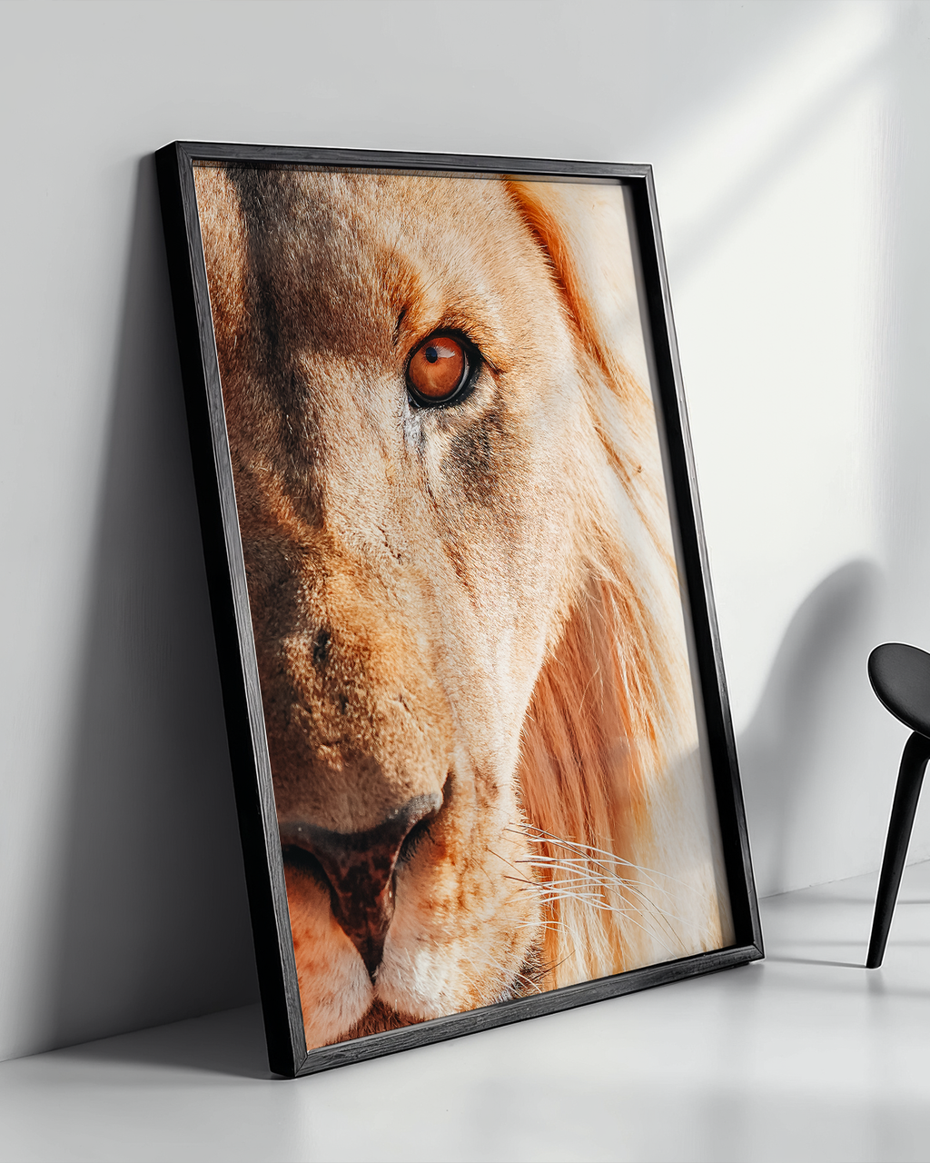 The King - Frame
