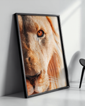 The King - Frame