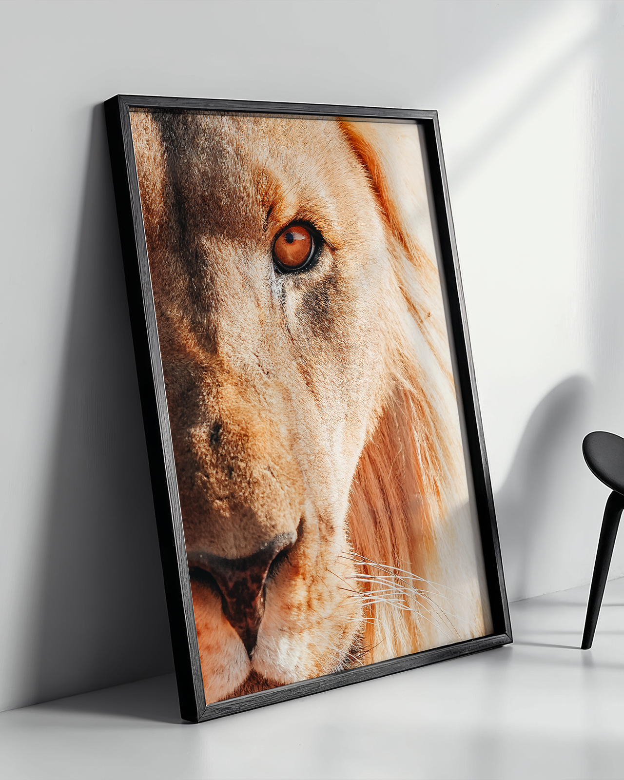 The King - Frame
