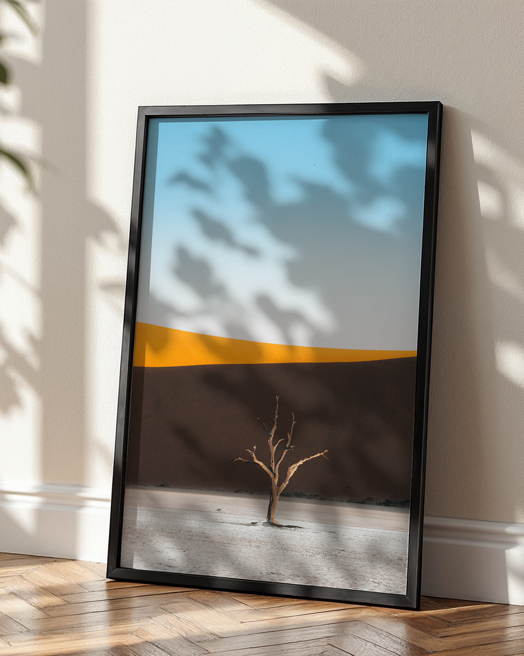 Dedvlei 3 - Frame