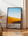 Dedvlei 1- Frame