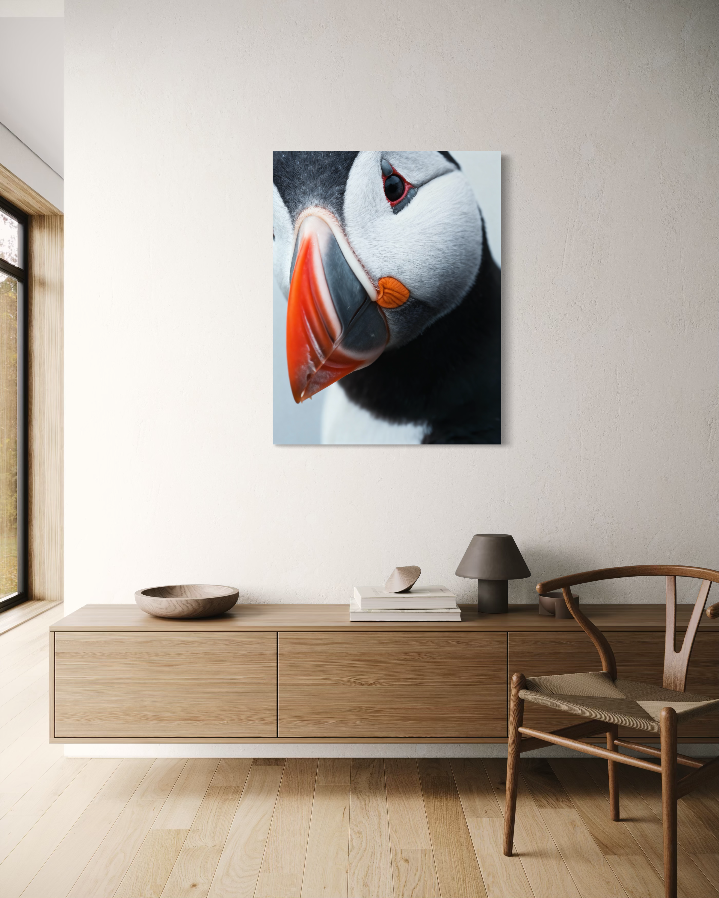 Atlantic puffin - Poster
