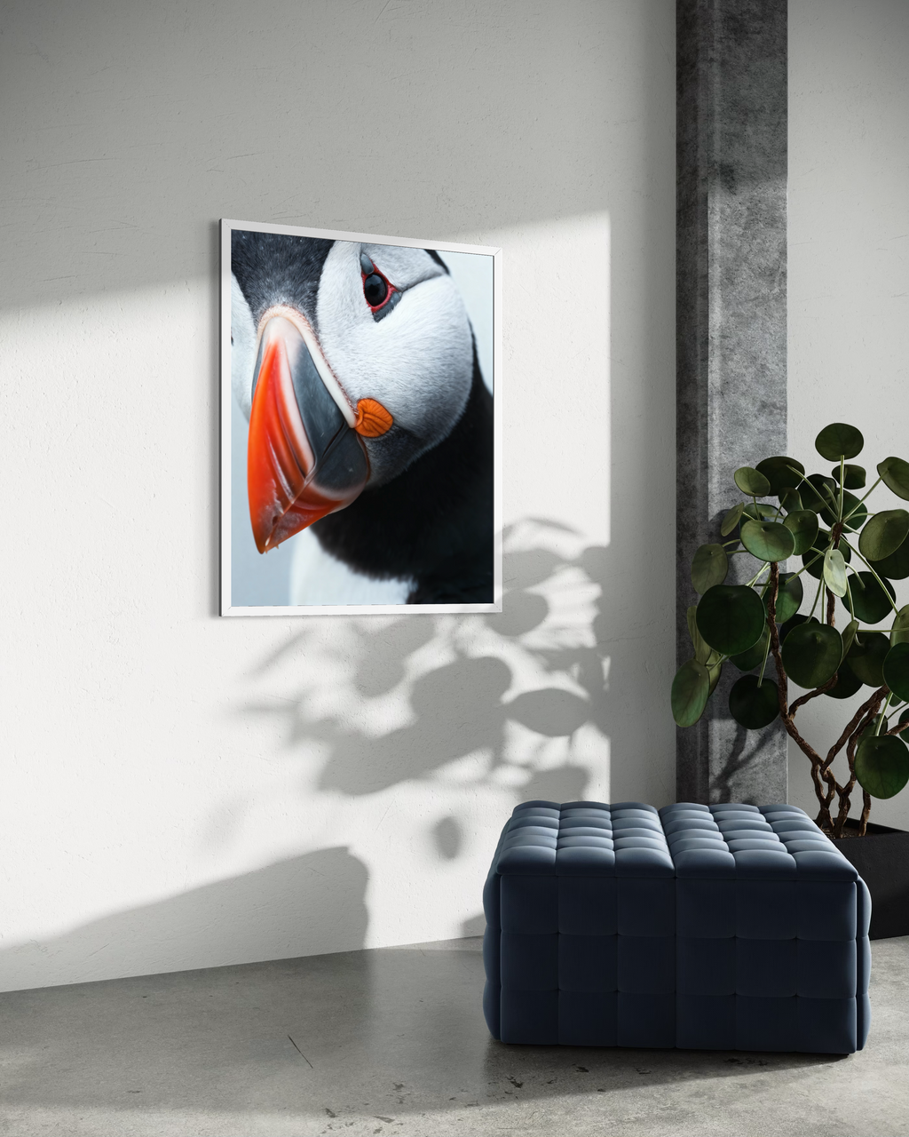 Atlantic Puffin - Frame