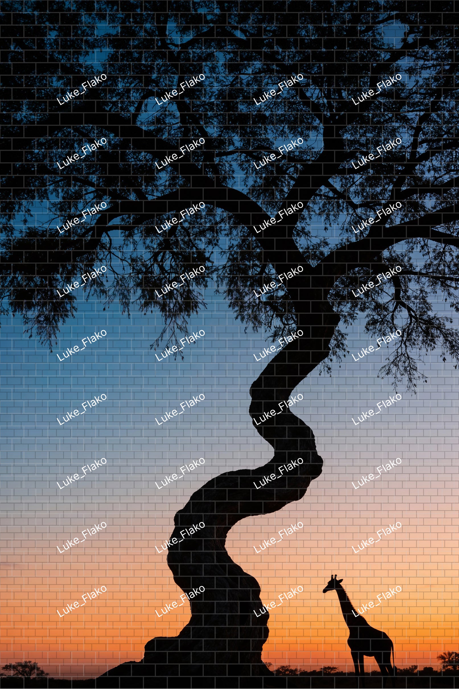 The Last Light - Frame