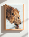 The King - Canvas
